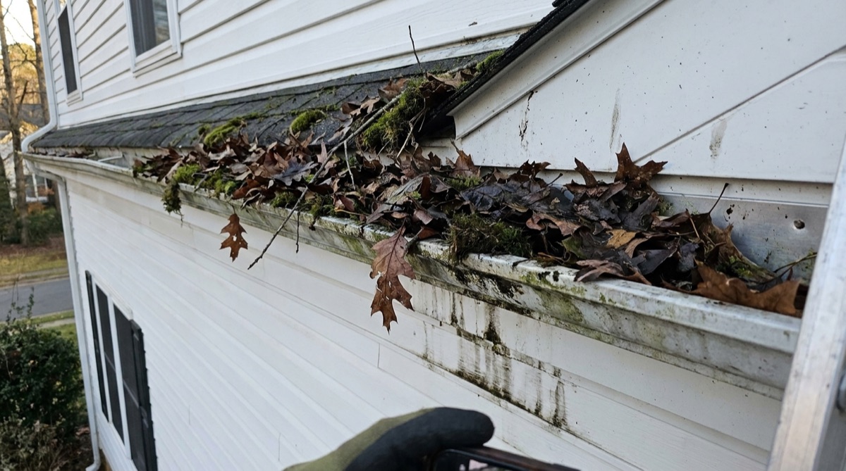 Clogged gutters with leaves and debris