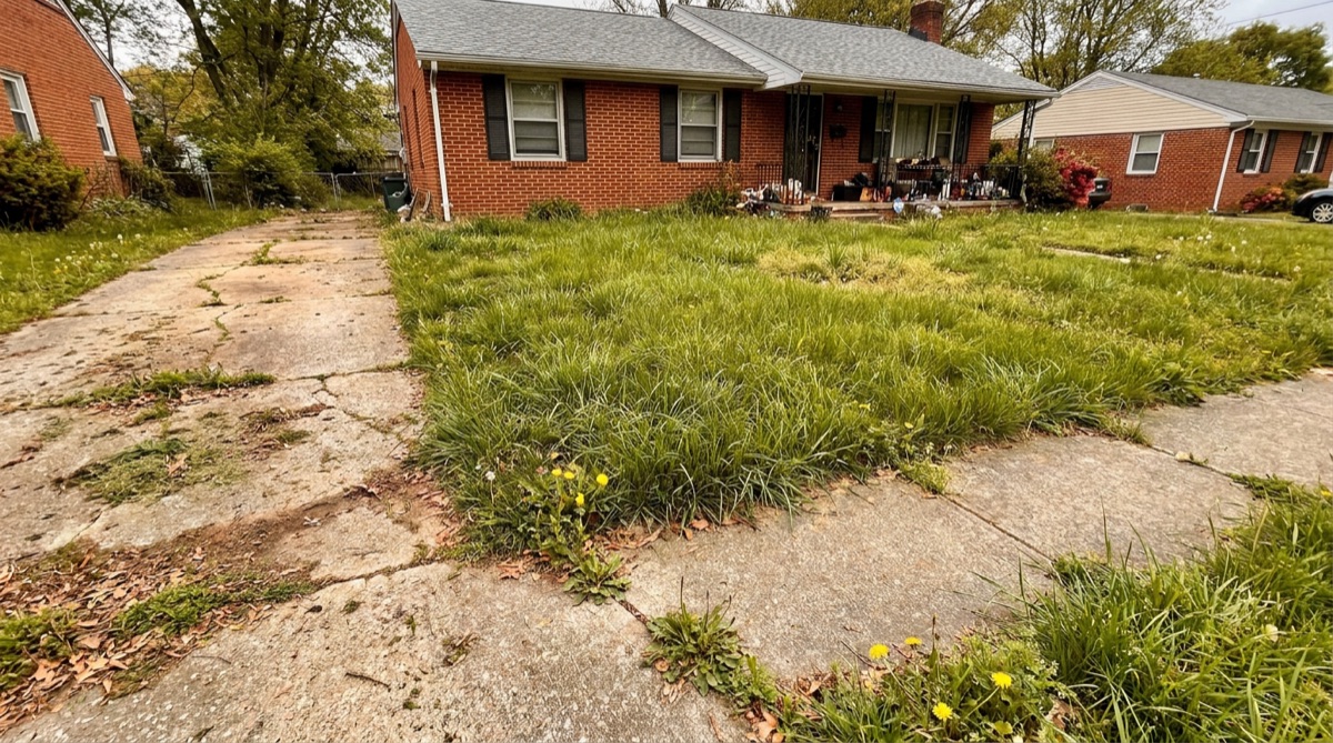 Summer lawn care Virginia