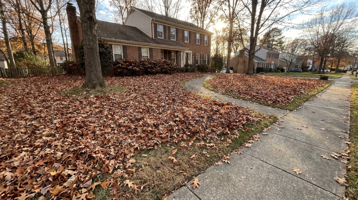 Yard covered in fall leaves before removal